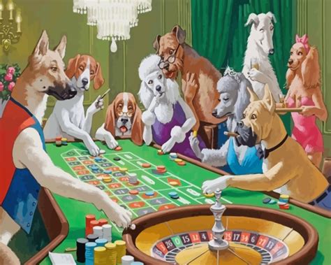 cool dog casino - find a wonderful transaction learning online